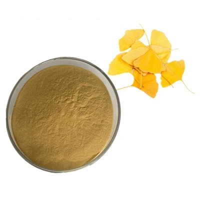 Ginkgo Biloba Extract CAS 90045-36-6